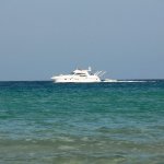 balazsh 2011